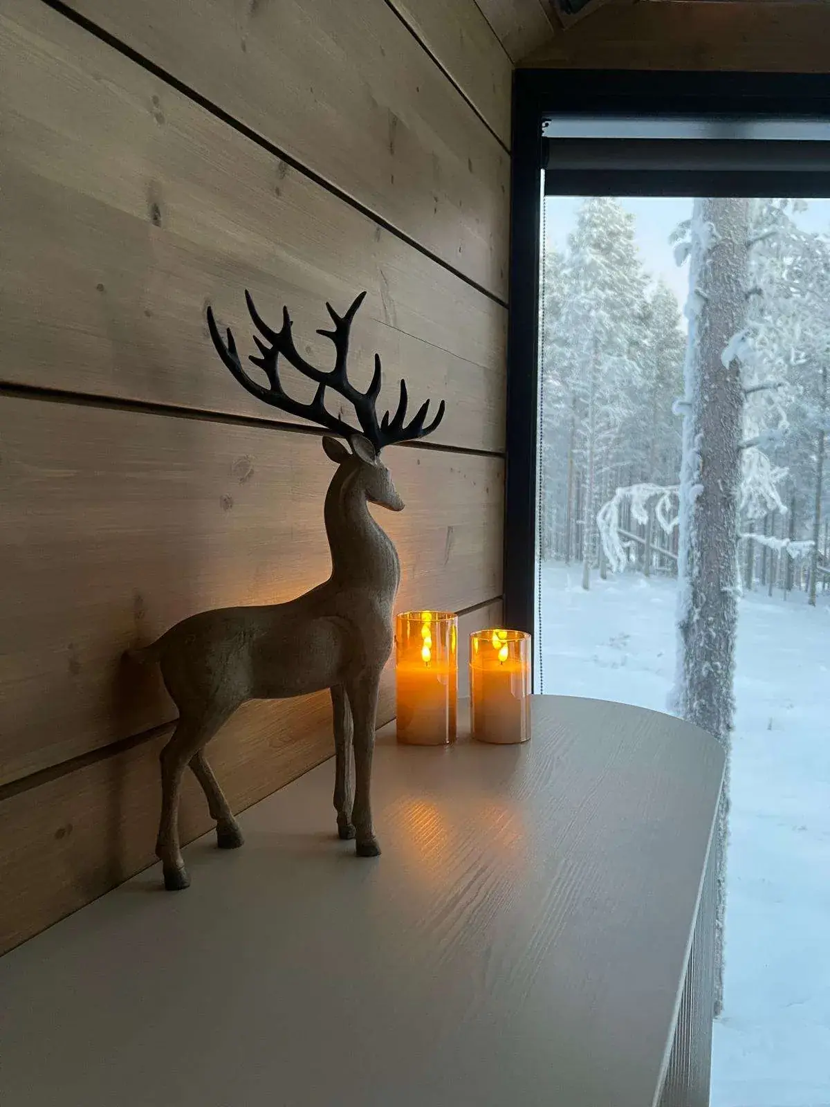 Little Arctic details